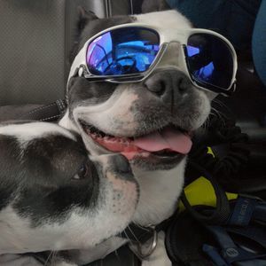 Meet your Posher, Marie-prisylla